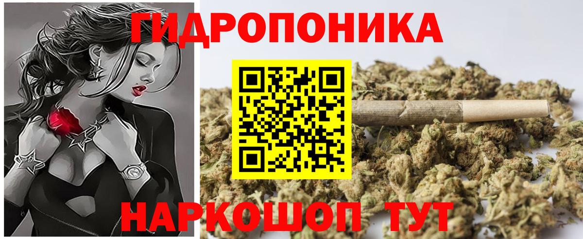 Марихуана SATIVA & INDICA Холмск